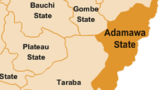 Three Dead As Suspected Herdsmen Attack Adamawa Village