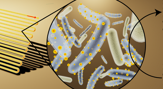 Cyborg Bacteria