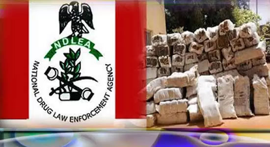 NDLEA Intercepts N1.1bn Travellers’ Cheques, 10.89kg Cocaine, 2.5kg of Tramadol, Others 