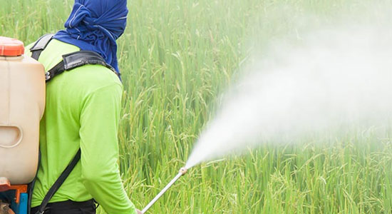 Pesticide