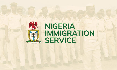 NIS Uploads 150,000 Stolen, Lost Travel Documents