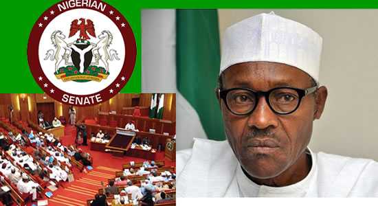 Banditry: Senate Applaud Buhari Military Offensive Action In Kastina