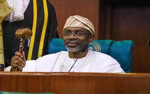 Reps To Probe All NGOs In Nigeria - Gbajabiamila