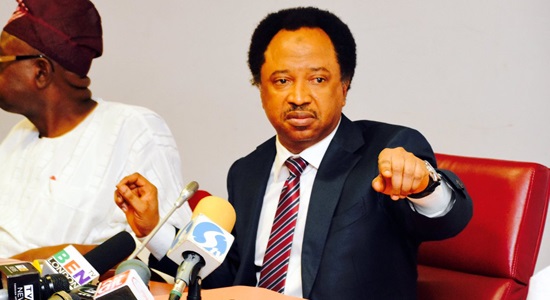 Senator Shehu Sani Speaks On Muslims 'supporting' The Killing Of Christians By ISWAP