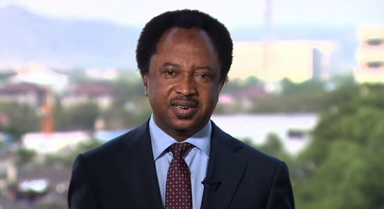 Constitution Amendment: Electoral Reform, Power Devolution Should Be Of Priority – Shehu Sani